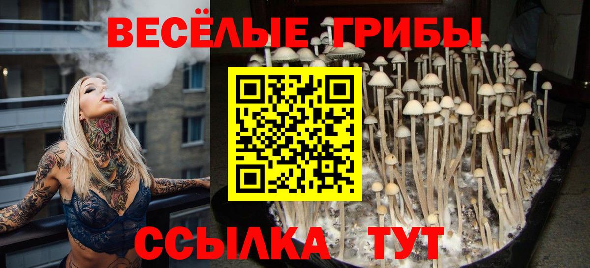 Майский  Псилоцибиновые грибы Psilocybe  Псилоцибиновые грибы Psilocybine cubensis  Вход с VPN 